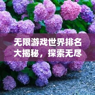 无限游戏世界排名大揭秘，探索无尽宇宙，哪款游戏独占鳌头？