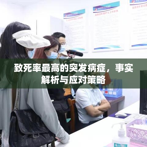 致死率最高的突发病症，事实解析与应对策略