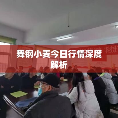 舞钢小麦今日行情深度解析