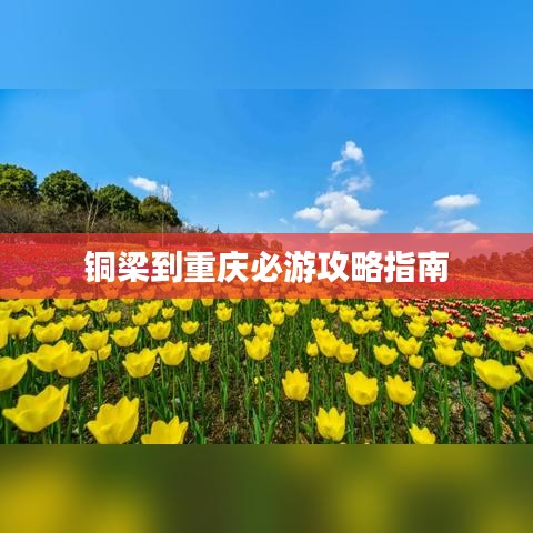 铜梁到重庆必游攻略指南