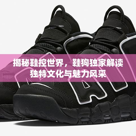 揭秘鞋控世界,鞋狗独家解读独特文化与魅力风采