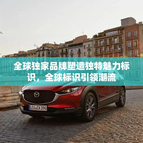 全球独家品牌塑造独特魅力标识，全球标识引领潮流