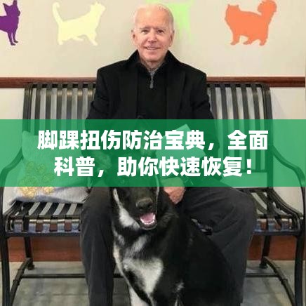 脚踝扭伤防治宝典，全面科普，助你快速恢复！