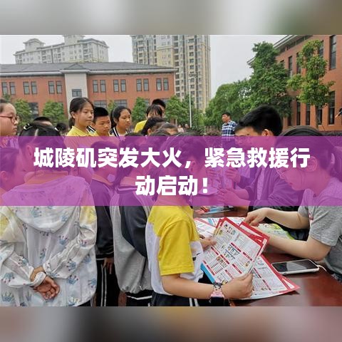 城陵矶突发大火,紧急救援行动启动!