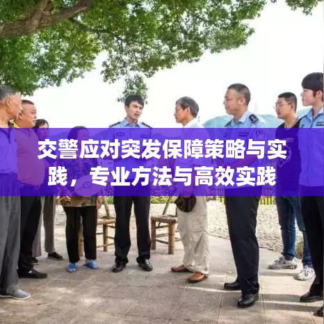交警应对突发保障策略与实践，专业方法与高效实践