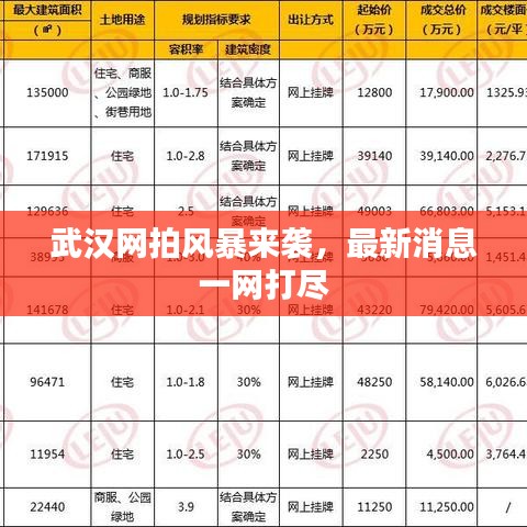 武汉网拍风暴来袭,最新消息一网打尽