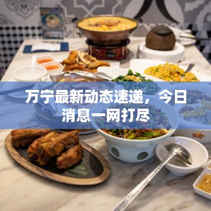 万宁最新动态速递，今日消息一网打尽