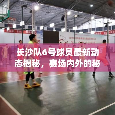 长沙队6号球员最新动态揭秘，赛场内外的秘密消息速递！