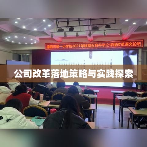 公司改革落地策略与实践探索