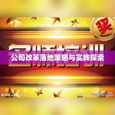 公司改革落地策略与实践探索
