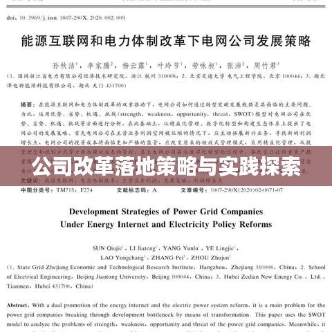 公司改革落地策略与实践探索