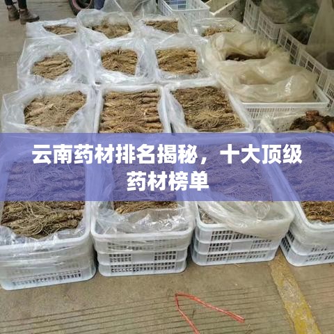 云南药材排名揭秘,十大顶级药材榜单
