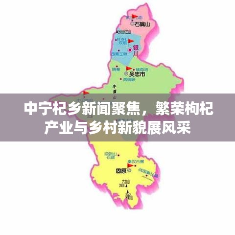 中宁杞乡新闻聚焦,繁荣枸杞产业与乡村新貌展风采