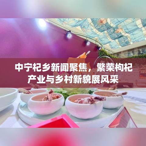 中宁杞乡新闻聚焦，繁荣枸杞产业与乡村新貌展风采