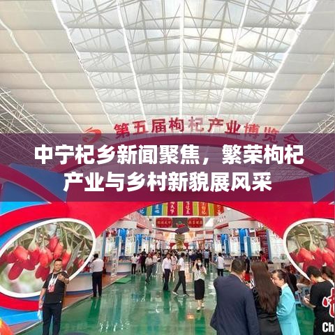 中宁杞乡新闻聚焦,繁荣枸杞产业与乡村新貌展风采