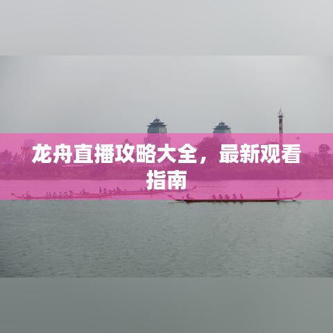 王者新版本打野英雄,可靠性执行方案旗舰版_v8.876不香了?这5款替代软件更好用!