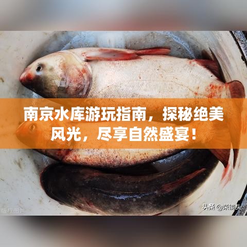 南京水库游玩指南，探秘绝美风光，尽享自然盛宴！