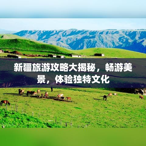 新疆旅游攻略大揭秘,畅游美景,体验独特文化