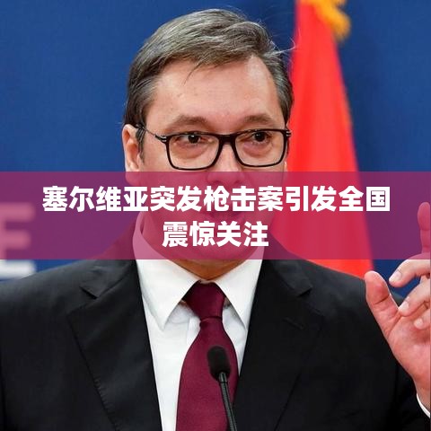 塞尔维亚突发枪击案引发全国震惊关注