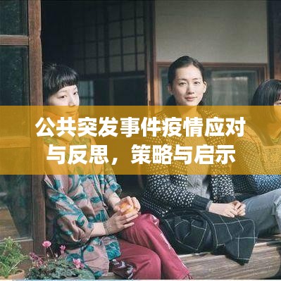 公共突发事件疫情应对与反思,策略与启示