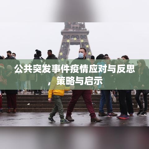 公共突发事件疫情应对与反思,策略与启示