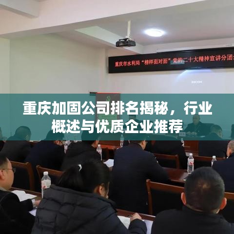重庆加固公司排名揭秘，行业概述与优质企业推荐