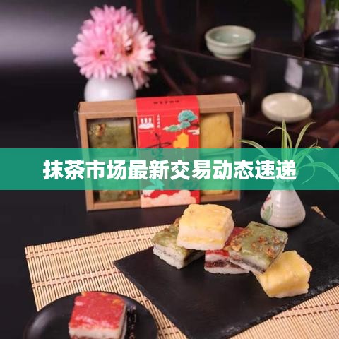 抹茶市场最新交易动态速递
