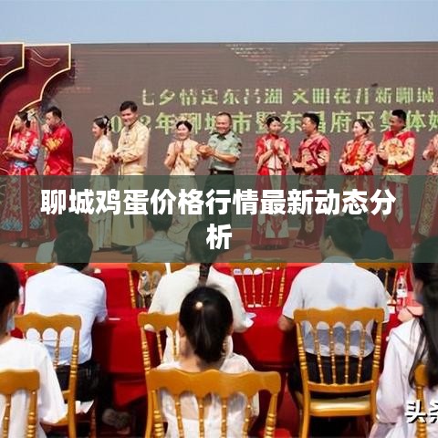 聊城鸡蛋价格行情最新动态分析