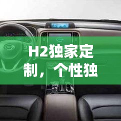 H2独家定制，个性独特体验，打造独一无二的生活风采
