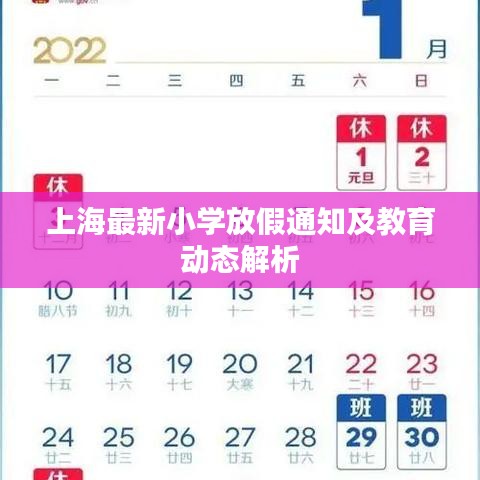 上海最新小学放假通知及教育动态解析