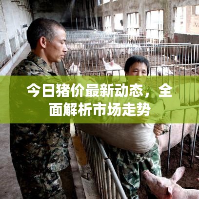 今日猪价最新动态，全面解析市场走势