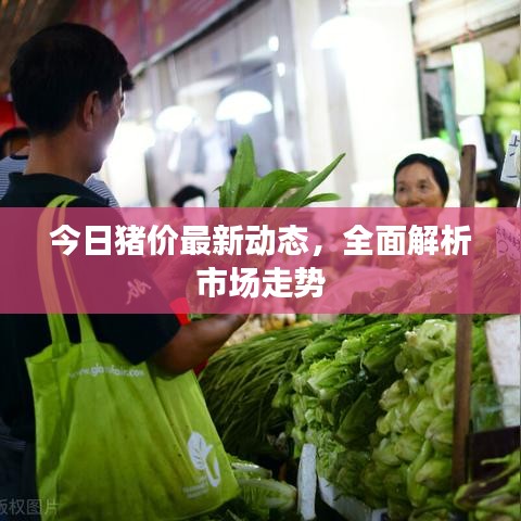 今日猪价最新动态,全面解析市场走势