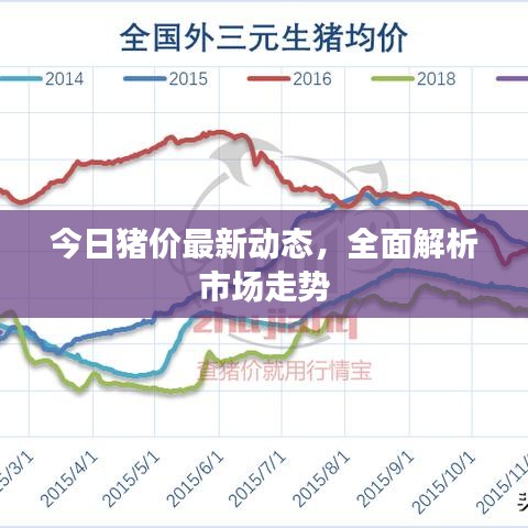 今日猪价最新动态,全面解析市场走势