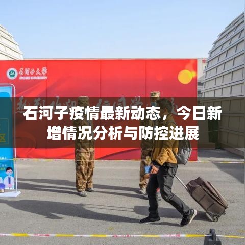 石河子疫情最新动态，今日新增情况分析与防控进展