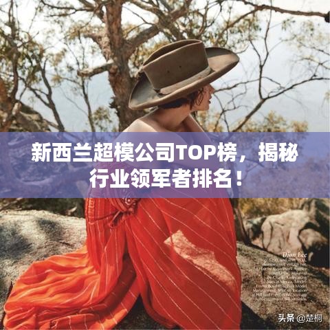 新西兰超模公司TOP榜，揭秘行业领军者排名！