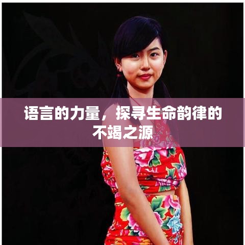 语言的力量，探寻生命韵律的不竭之源
