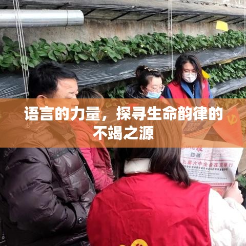 语言的力量,探寻生命韵律的不竭之源