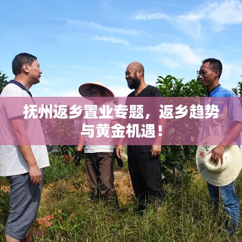 抚州返乡置业专题,返乡趋势与黄金机遇!