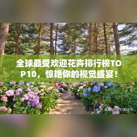 全球最受欢迎花卉排行榜TOP10,惊艳你的视觉盛宴!