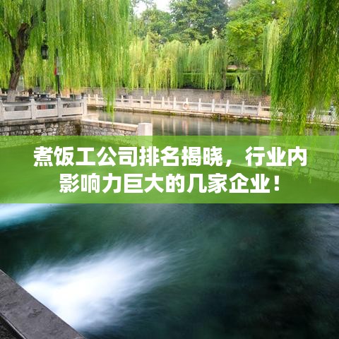 煮饭工公司排名揭晓,行业内影响力巨大的几家企业!