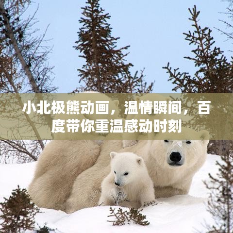 小北极熊动画,温情瞬间,百度带你重温感动时刻