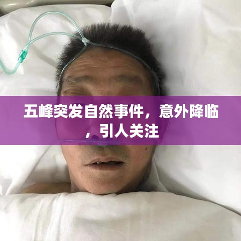 五峰突发自然事件,意外降临,引人关注