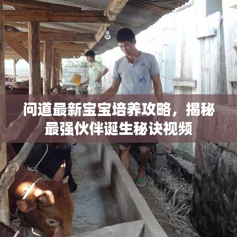 问道最新宝宝培养攻略，揭秘最强伙伴诞生秘诀视频