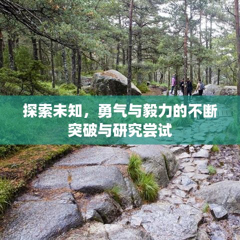 探索未知，勇气与毅力的不断突破与研究尝试
