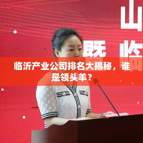 临沂产业公司排名大揭秘，谁是领头羊？