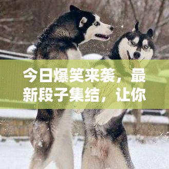 今日爆笑来袭,最新段子集结,让你笑出腹肌!