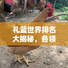 礼蓝世界排名大揭秘，各领域影响力与地位不容小觑