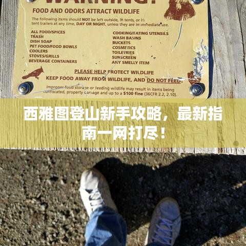 西雅图登山新手攻略，最新指南一网打尽！