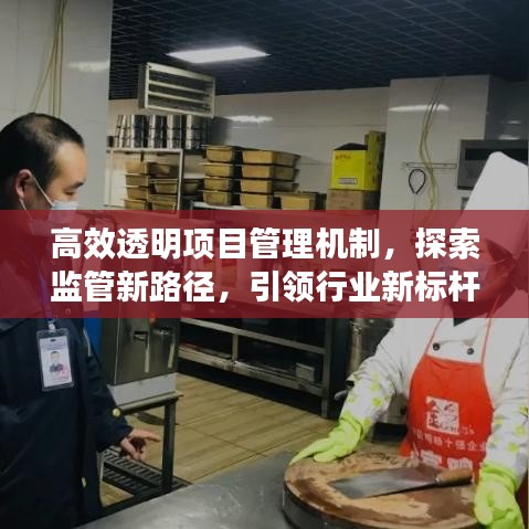 高效透明项目管理机制，探索监管新路径，引领行业新标杆