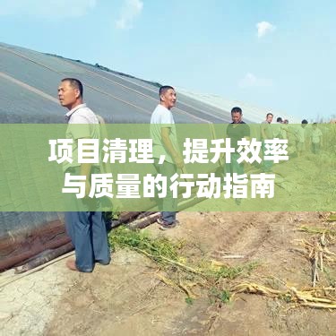 项目清理,提升效率与质量的行动指南